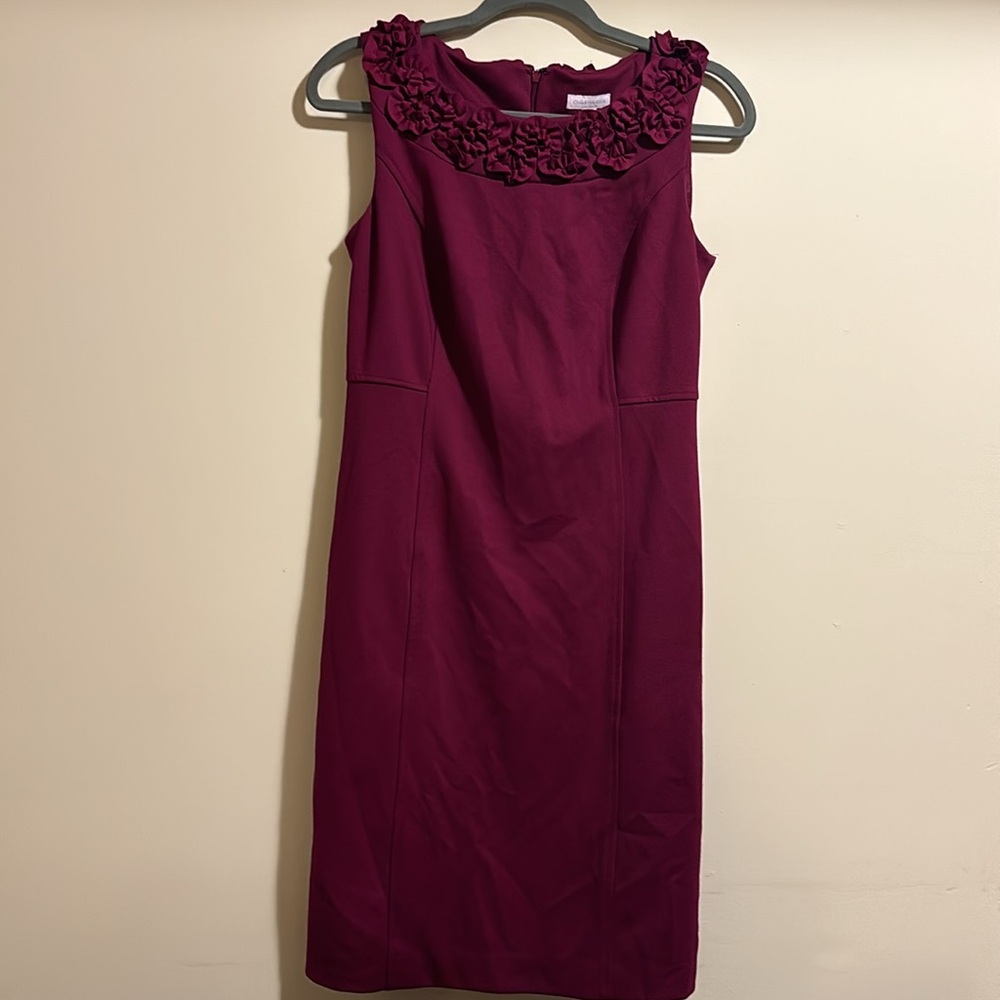 Acai Berry Women’s Dress 12 Charter Club NWT